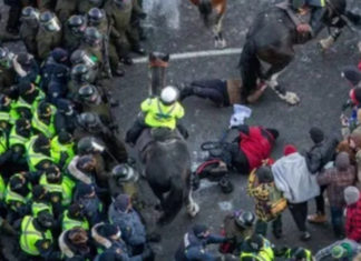 Violent jihad Nazi attacks Canadian police horse in suicide attack.