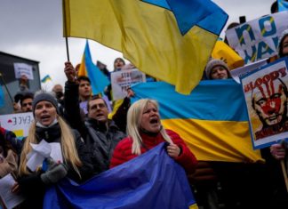 We are so Stupid, it hurts