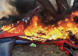 New Zealand’s Dark Day: Police Brutally Suppress Peaceful Protesters