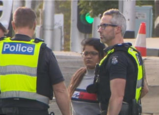 Tesla driver hits pedestrian: Claims Autopilot made her do it