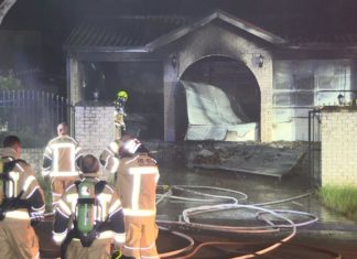 Tesla causes house fire, kills cat