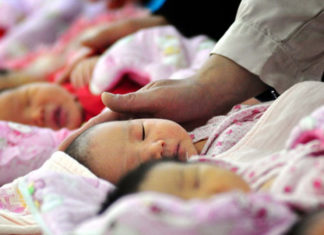 The Global Fertility Crash