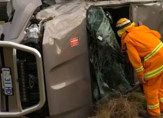 Scott Morrison’s Bodyguard Crash: Was it divine punishment for Covid Tyranny?