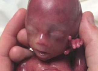 The morality of our Civilization