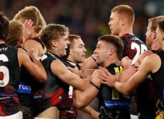 Didgeridoo of Peace used as weapon in MCG brawl