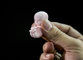 Abortionist concerned about US Supreme Court ruling turns to drowning puppies