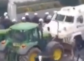 Dutch Farmers versus Globalism