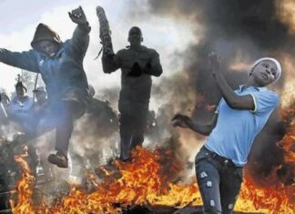 South Africa’s Brave New World – A Book Review