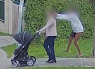 Aboriginal girl attacks White mother in Perth: Cries when arrested