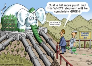The plague of green elephants