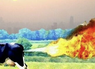 Why are cow farts so greenhousy?