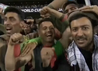 Afghans flock to Adelaide Oval for T20: Nearly beat Australia