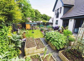 Practical steps toward creating a parallel society