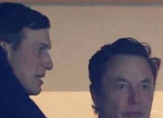 Elon Musk’s Twitter Takeover Hangover