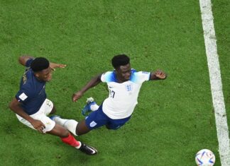 England’s negroes lose to France’s negroes at World Cup