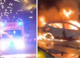 Berlin becomes New Year Warzone as migrants show gratitude