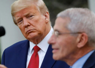 Another Covid Penny Comes Crashing Down