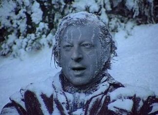 Al Gore claims cow farts equivalent to 1 million Hiroshima bombs every day