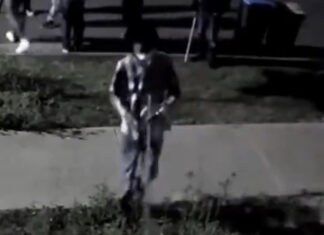 African Gangs Terrorise Tarneit: White kids shamed for asking “Why is your rice yellow?”