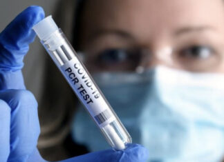 Covid: Conspiracy or Stupidity?