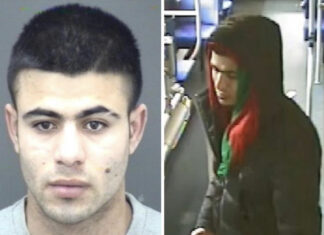 Illegal Migrant who Killed Bournemouth DJ had Serbia Murder Conviction