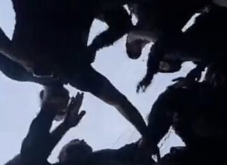 Christian Lebs BTFO LGBT Pedo Freaks in Sydney