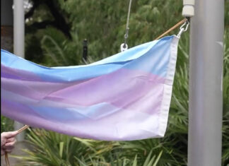 Fag Andrews flies Pedo Freak Flag