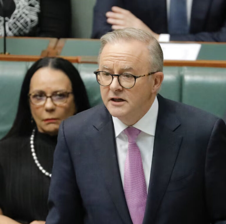 Albo HYSTERICAL: Voice to Parliament TANKING