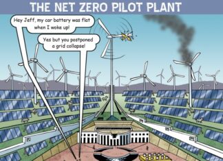 A Pilot Plant for Net Zero