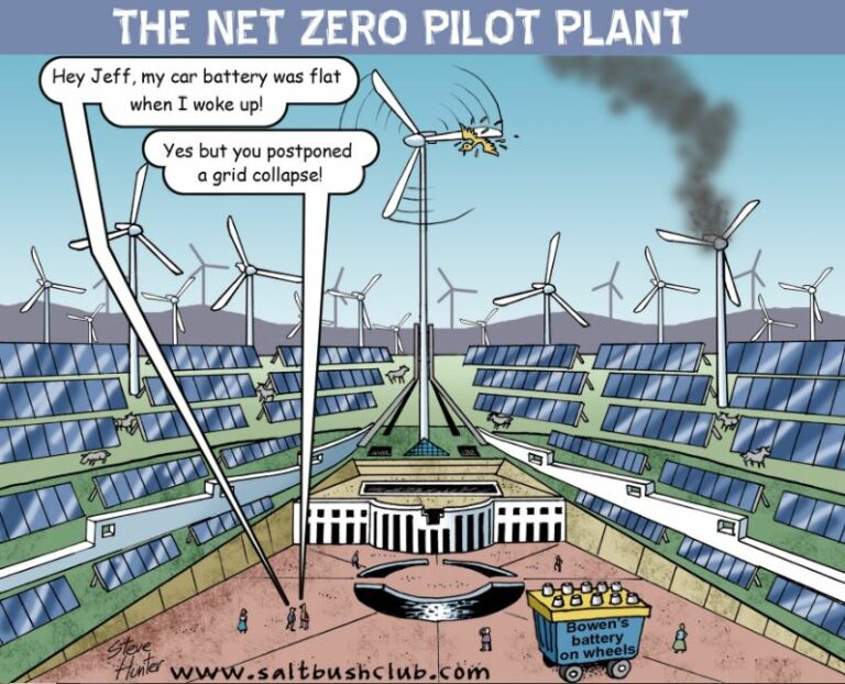 A Pilot Plant for Net Zero