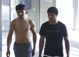 Lifeguard Bashing Fury: Calls grow to deport Afghan thugs