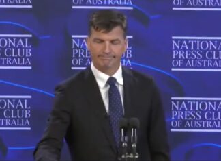 Paul Keating pretends Angus Taylor is racist