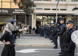 Daily Mail publishes misinformation about banned salute at Melbourne protest
